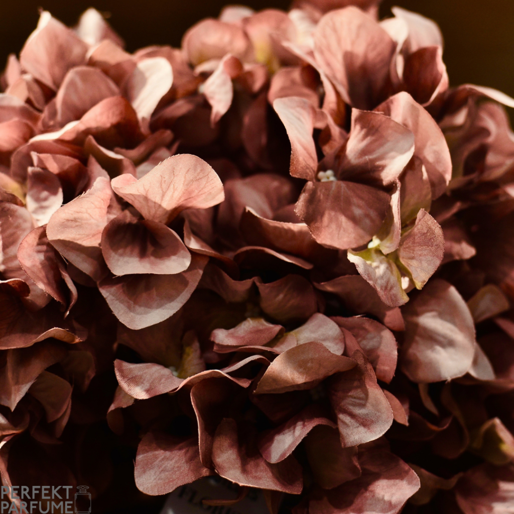 Pink blomster med logo i baggrunden